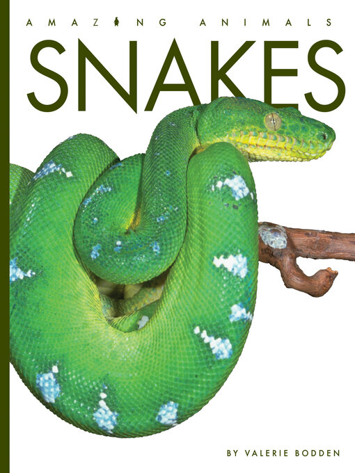 Title details for Snakes by Valerie Bodden - Available